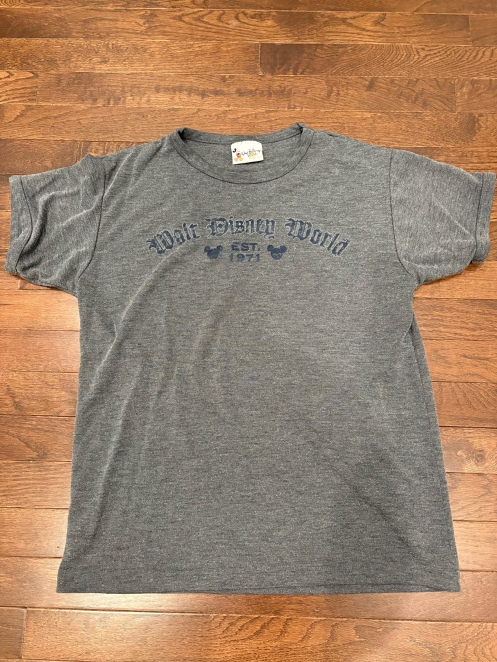 Vintage Walt Disney World 1971 Gray Women’s Graphic T-shirt 90s Y2K